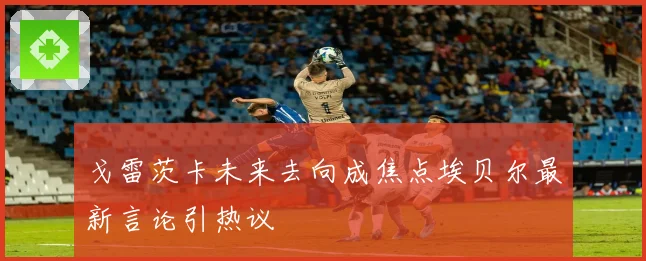 戈雷茨卡未来去向成焦点埃贝尔最新言论引热议